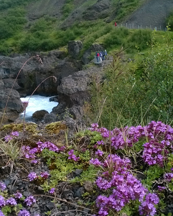 Knitting in the enchanting North tour - Iceland - The Icelandic Knitter (24)