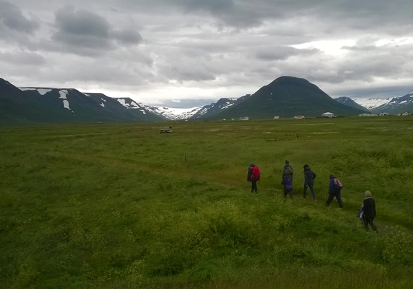 Knitting in the enchanting North tour - Iceland - The Icelandic Knitter (11)