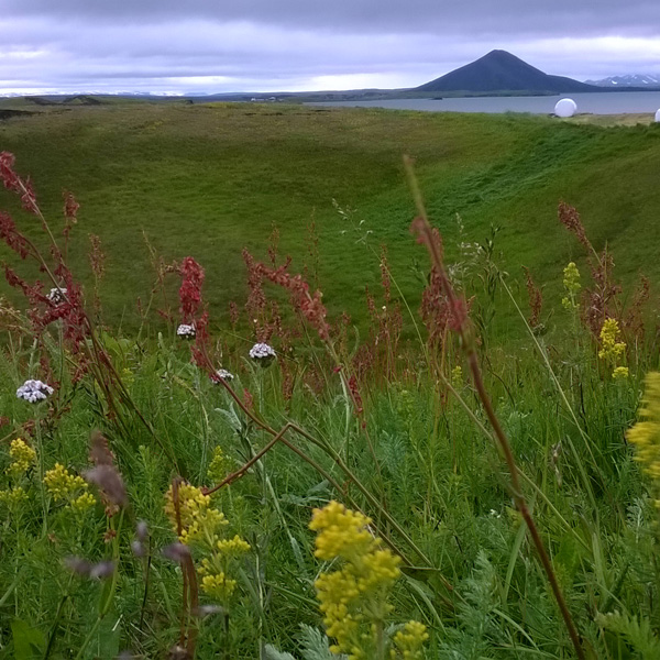 Knitting in the enchanting North tour - Iceland - The Icelandic Knitter (1)