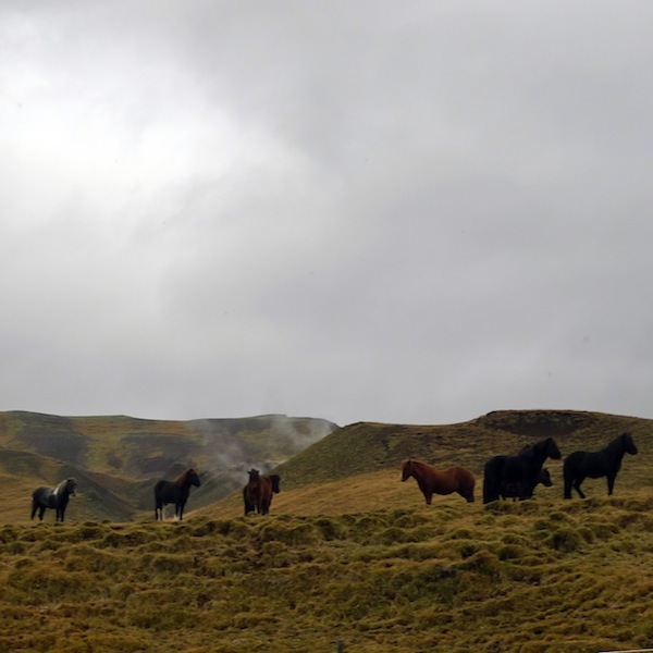 Magical Night Knitting Tour Iceland 2014 (25)