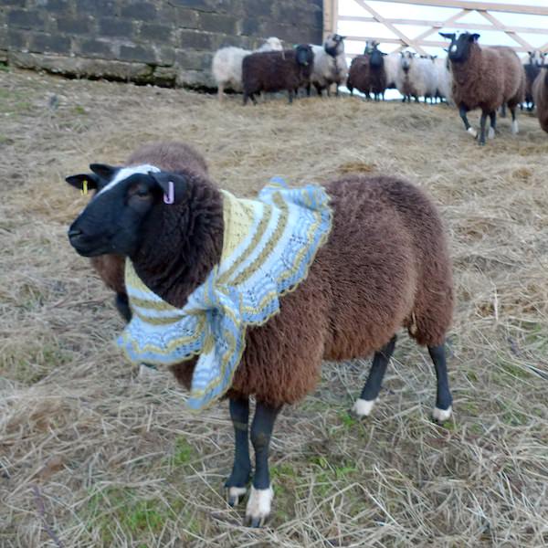 Icelandic Spring shawl Gryla blue