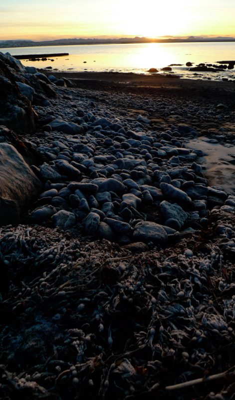 Icelandic Knitter – Hélène Magnússon