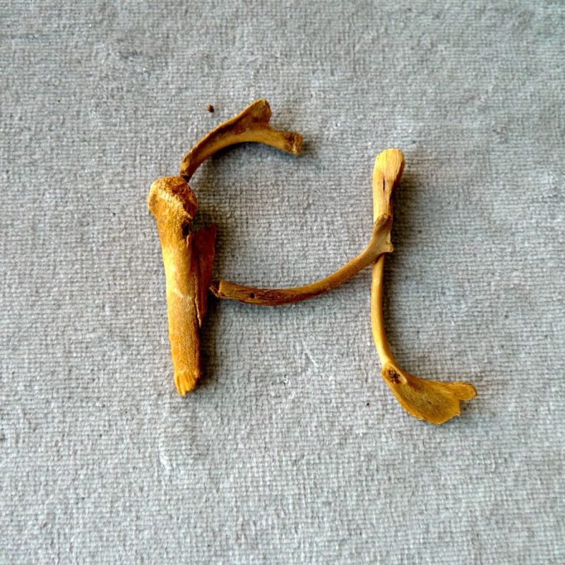 Icelandic Knitter – Hélène Magnússon