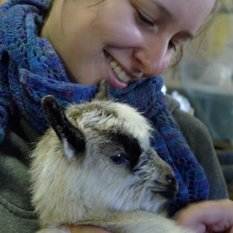 Icelandic Knitter – Hélène Magnússon