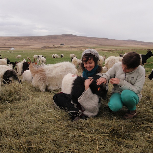 Icelandic Knitter – Hélène Magnússon