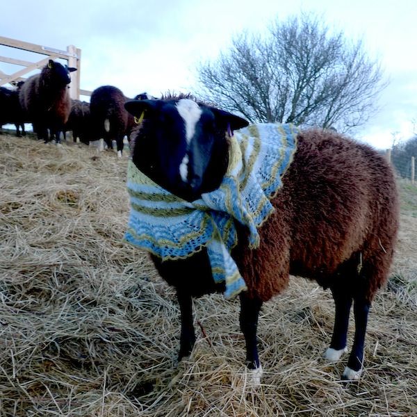 Icelandic Spring shawl Gryla blue