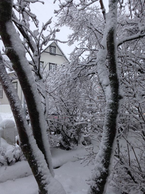 Icelandic Knitter – Hélène Magnússon