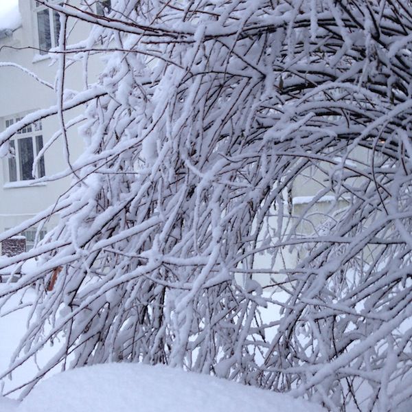 Icelandic Knitter – Hélène Magnússon