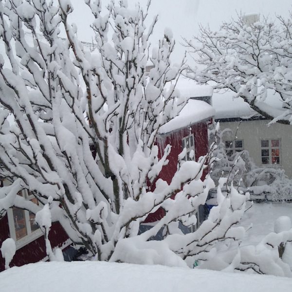 Icelandic Knitter – Hélène Magnússon