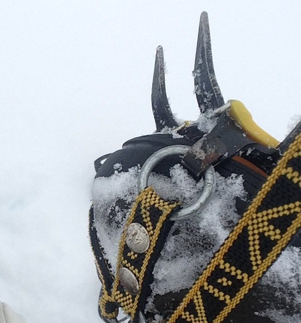 Icelandic Knitter – Hélène Magnússon