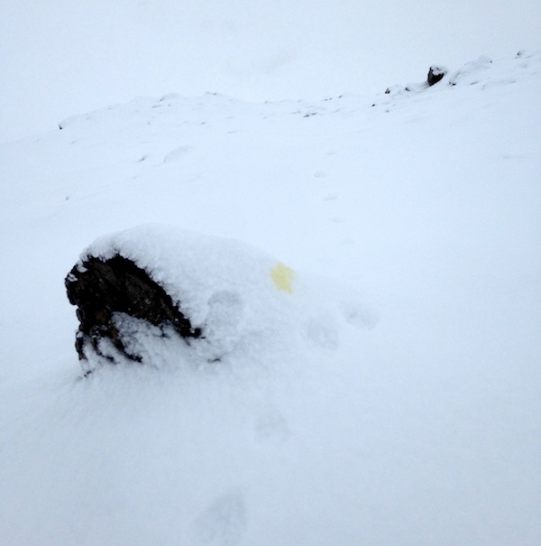 Icelandic Knitter – Hélène Magnússon