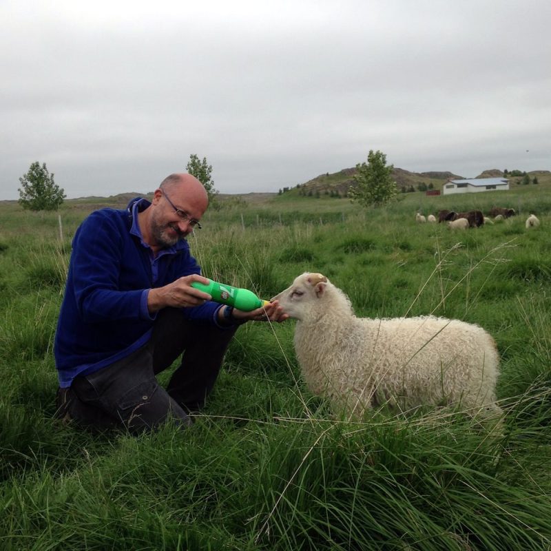 Icelandic Knitter – Hélène Magnússon