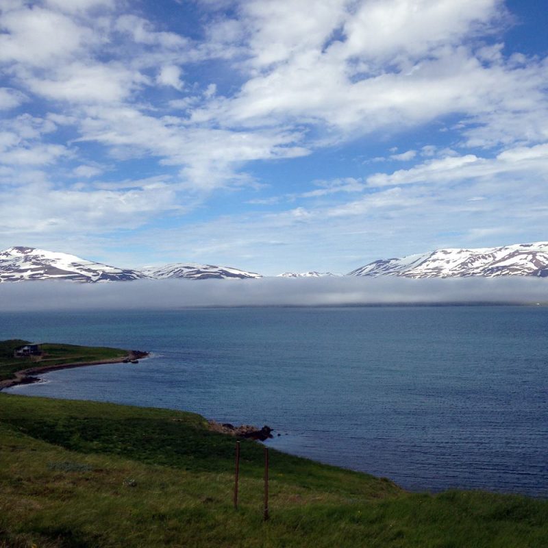 Icelandic Knitter – Hélène Magnússon