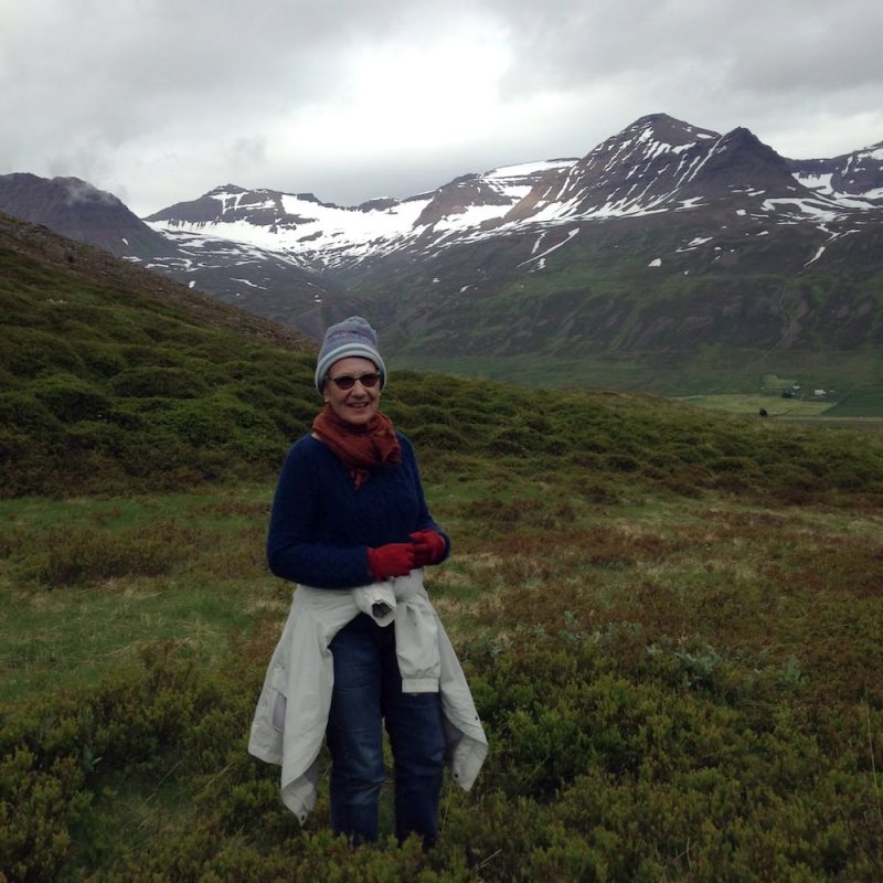Icelandic Knitter – Hélène Magnússon