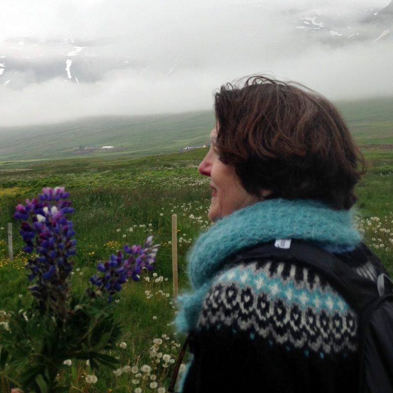 Icelandic Knitter – Hélène Magnússon