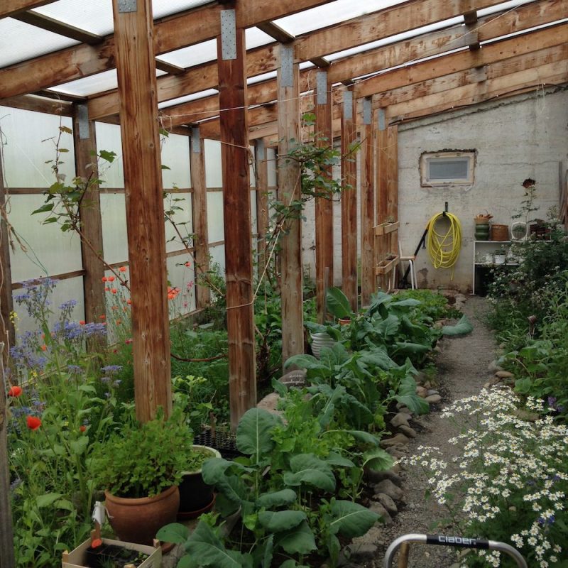 Icelandic Knitter – Hélène Magnússon