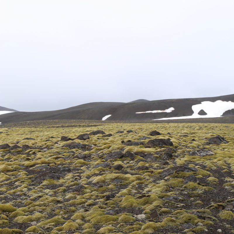 Icelandic Knitter – Hélène Magnússon