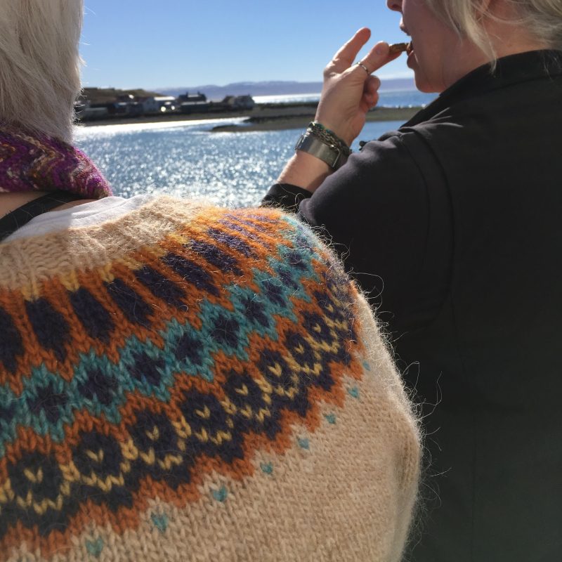 Icelandic Knitter – Hélène Magnússon