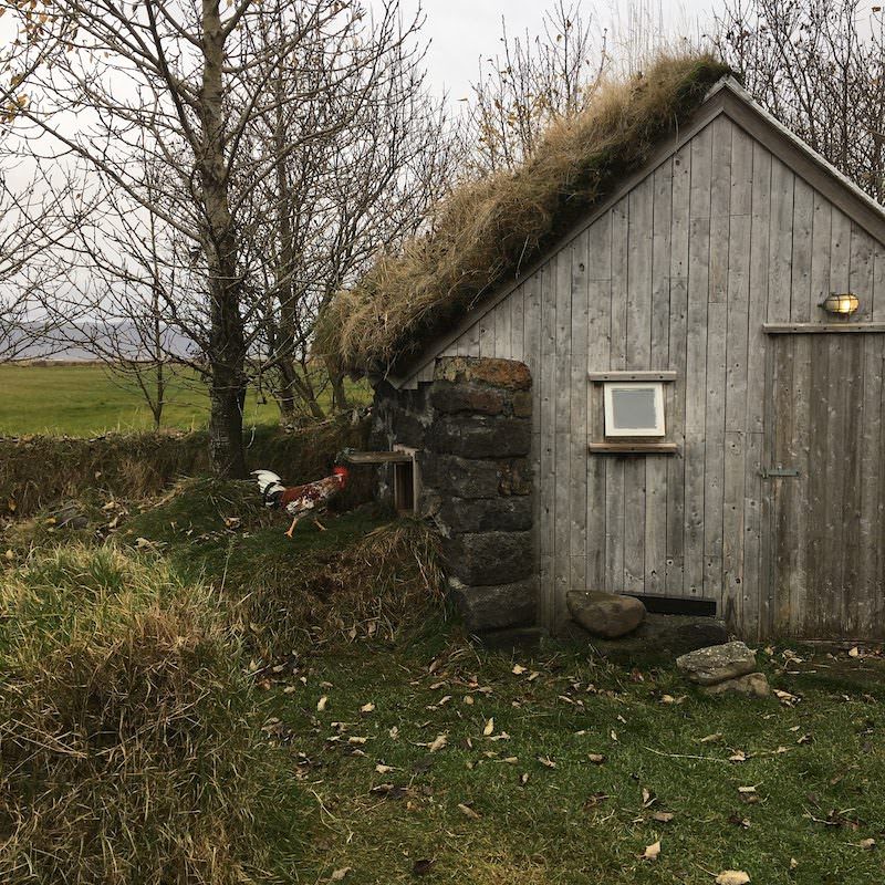 Icelandic Knitter – Hélène Magnússon