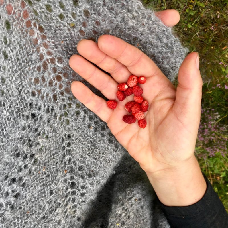 Icelandic Knitter – Hélène Magnússon