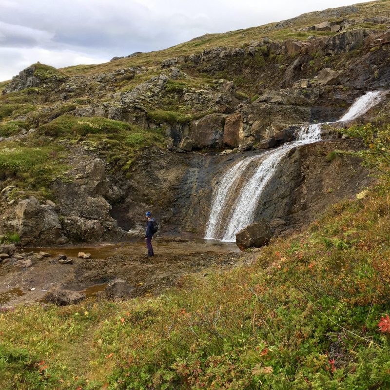 Icelandic Knitter – Hélène Magnússon