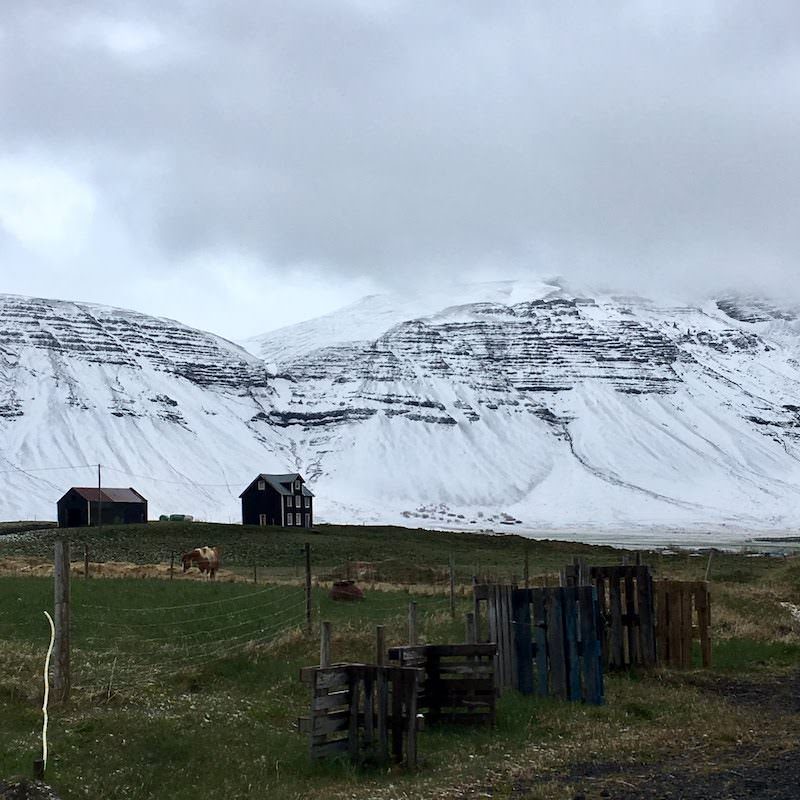 Icelandic Knitter – Hélène Magnússon