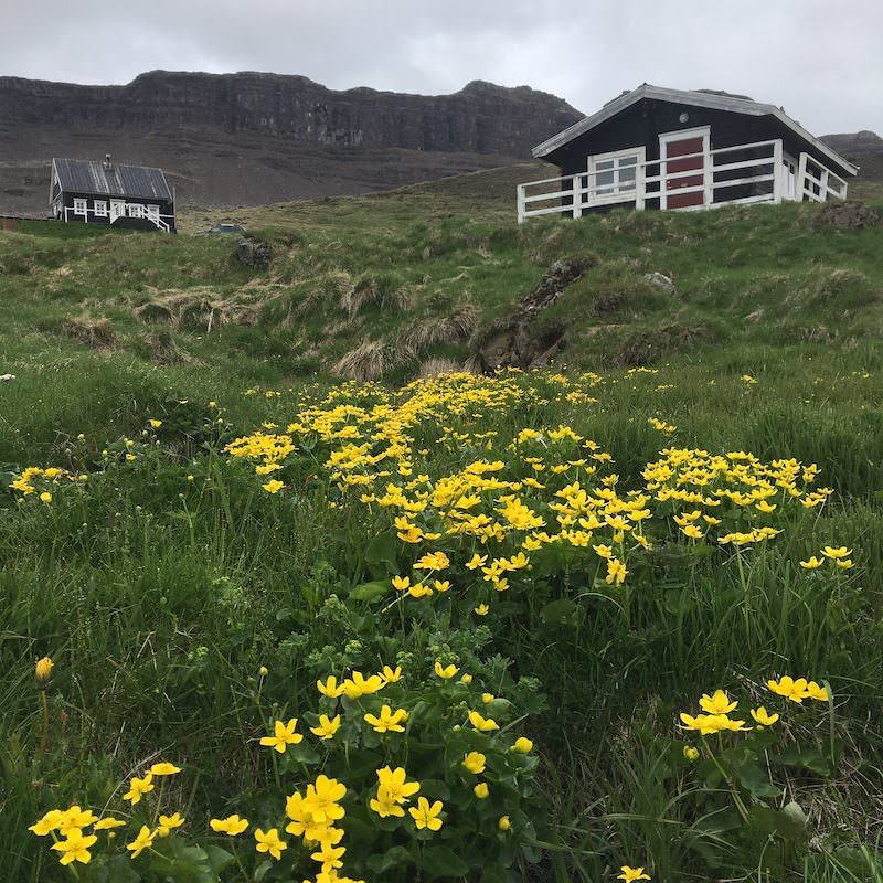 Icelandic Knitter – Hélène Magnússon