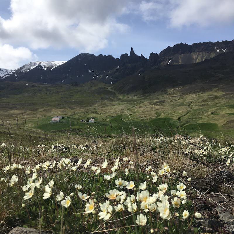 Icelandic Knitter – Hélène Magnússon