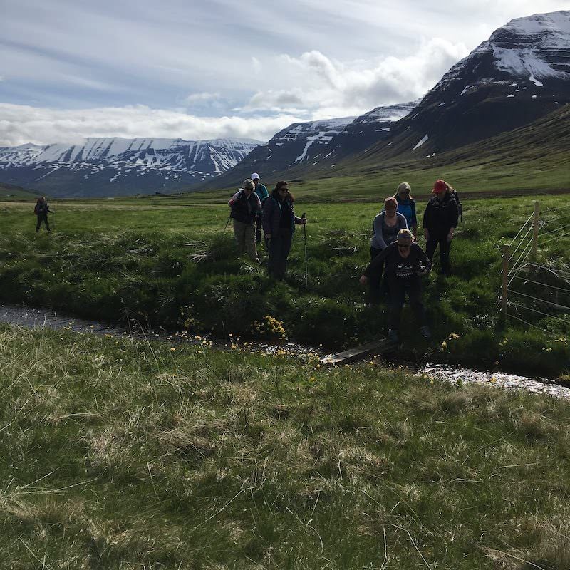 Icelandic Knitter – Hélène Magnússon