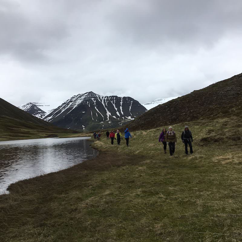 Icelandic Knitter – Hélène Magnússon