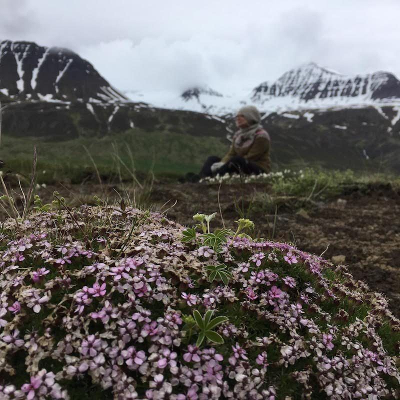 Icelandic Knitter – Hélène Magnússon