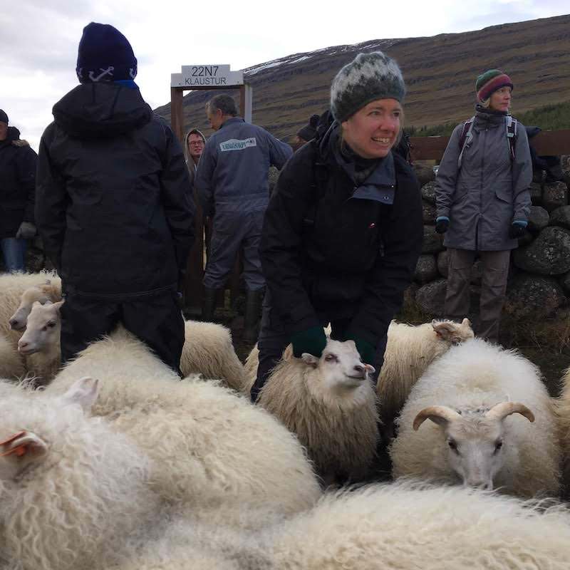 Icelandic Knitter – Hélène Magnússon