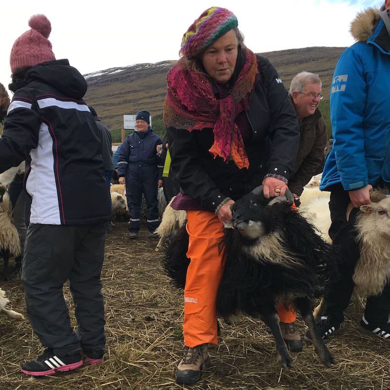 Icelandic Knitter – Hélène Magnússon