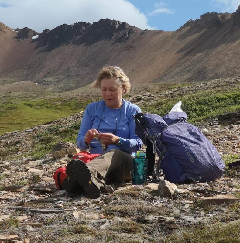 Icelandic Knitter – Hélène Magnússon