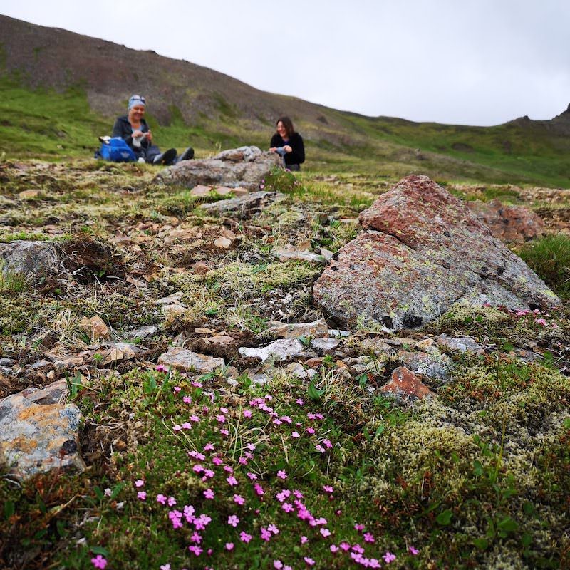 Icelandic Knitter – Hélène Magnússon