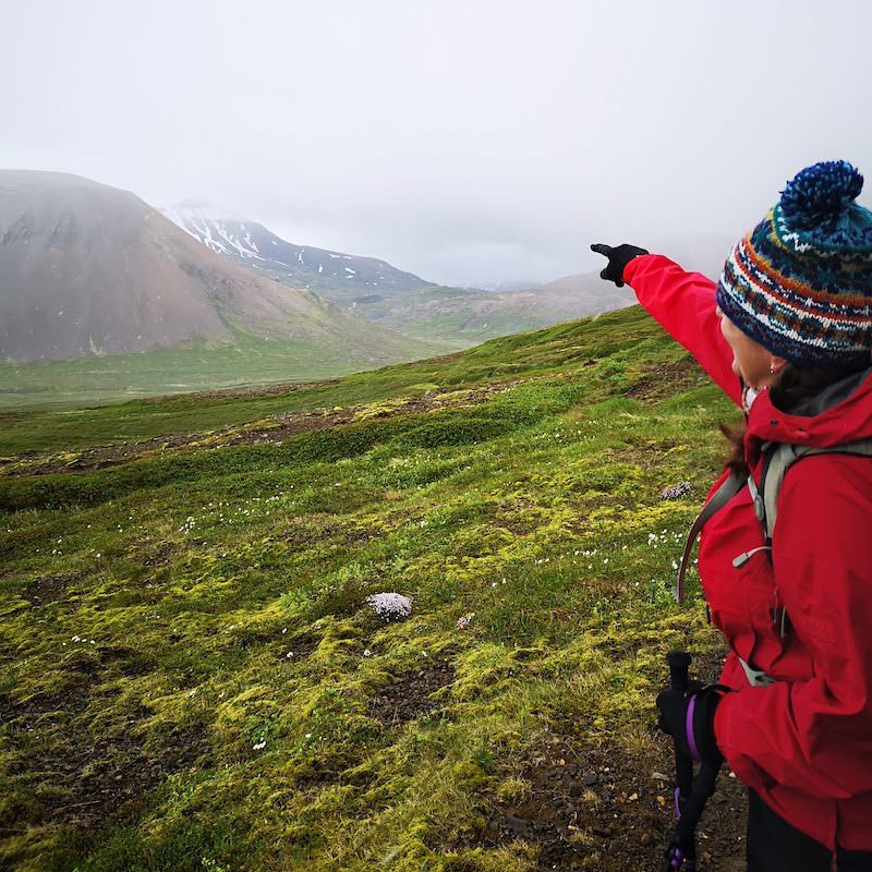 Icelandic Knitter – Hélène Magnússon