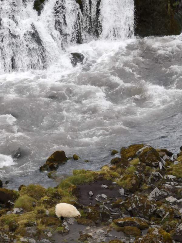 Icelandic Knitter – Hélène Magnússon