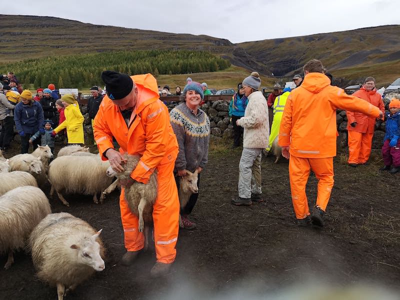 Icelandic Knitter – Hélène Magnússon