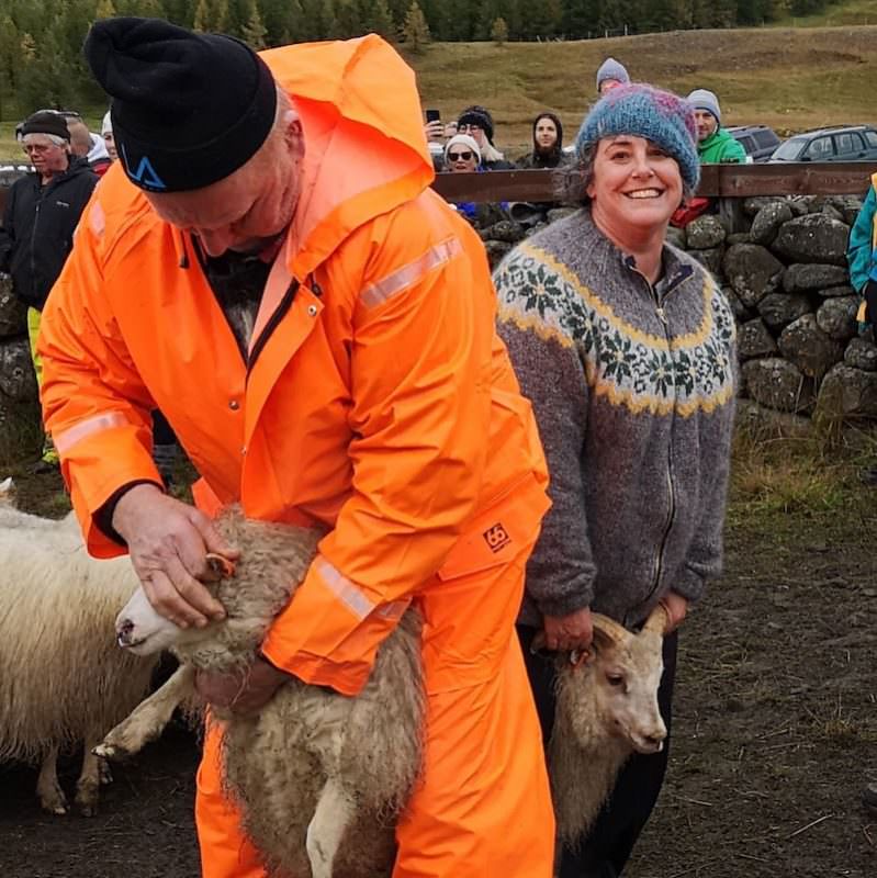 Postcards from the Authentic Iceland Hiking and knitting tour 2019