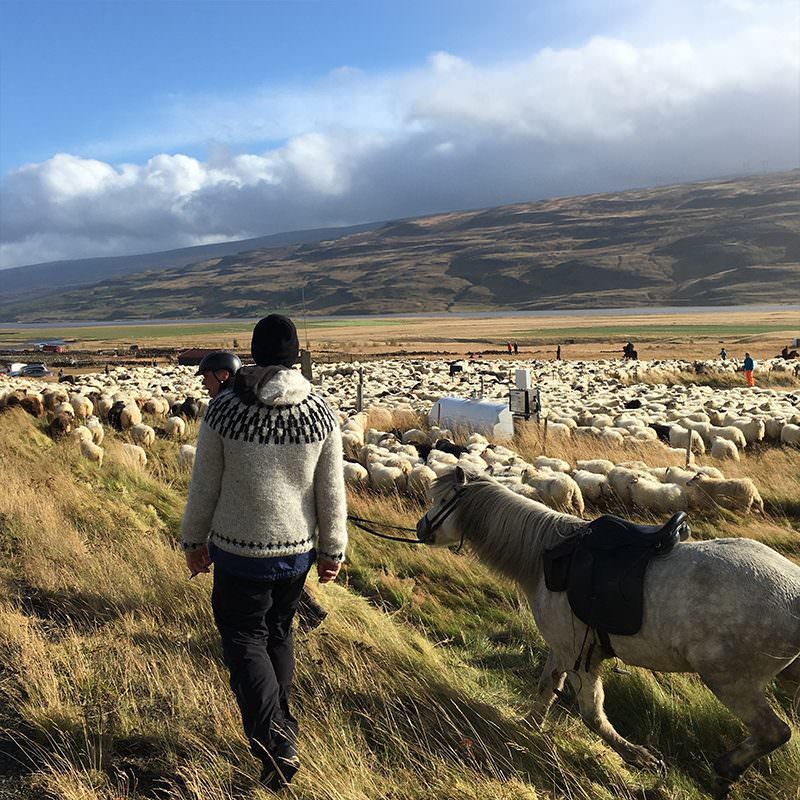 Icelandic Knitter – Hélène Magnússon