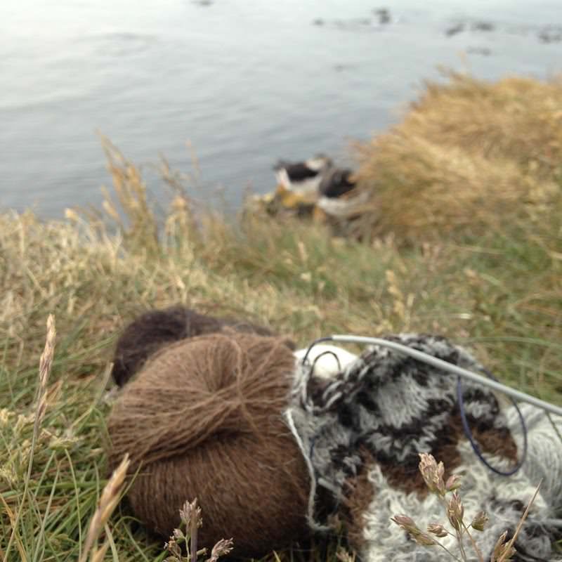 Icelandic Knitter – Hélène Magnússon