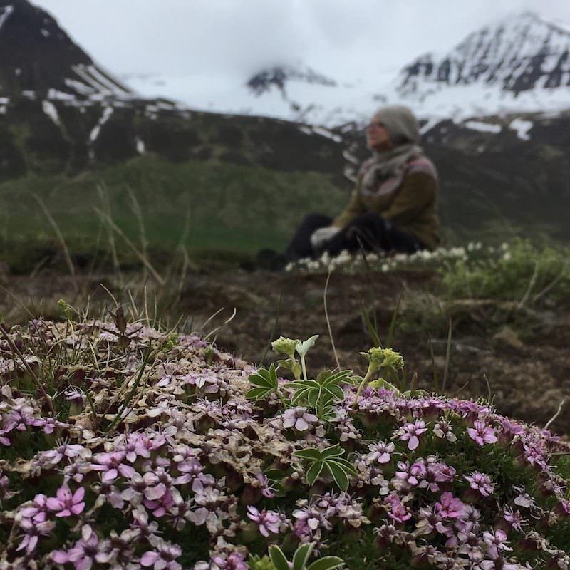 Icelandic Knitter – Hélène Magnússon