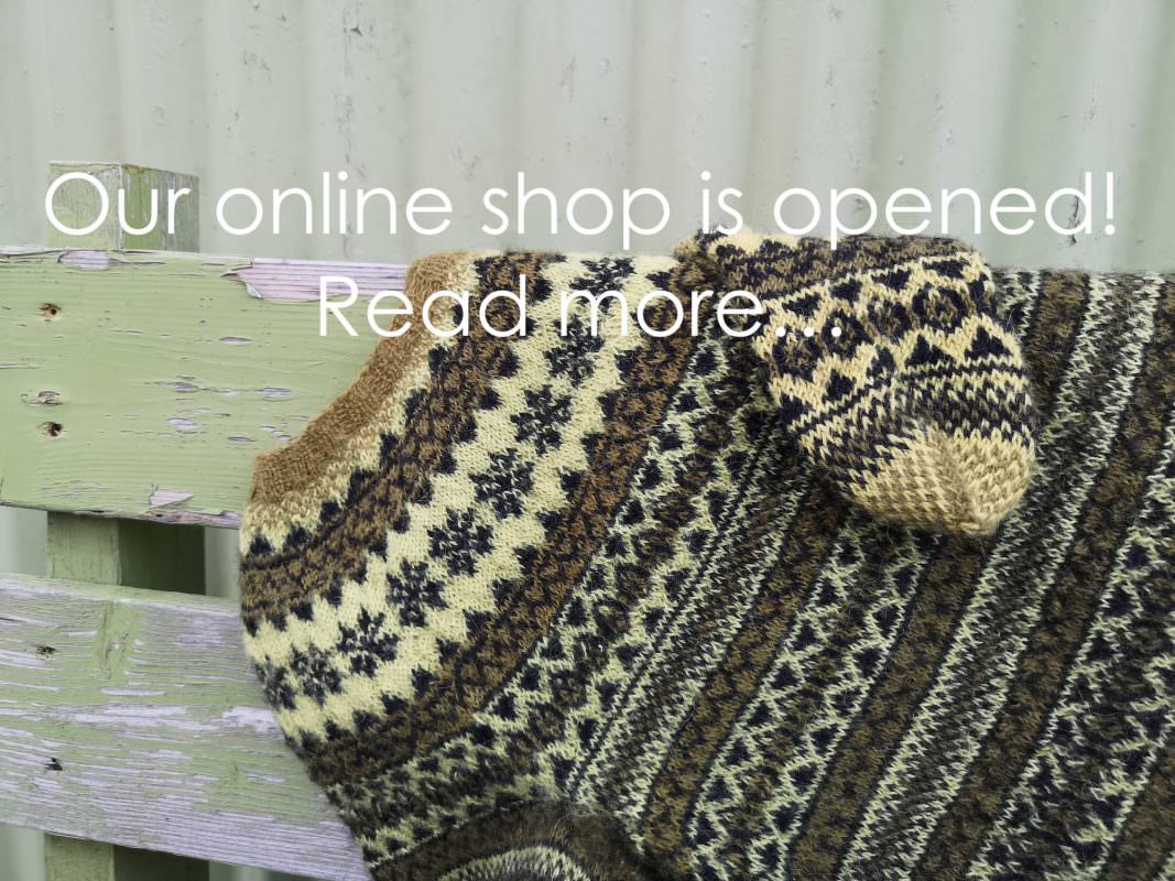 Icelandic Knitter – Hélène Magnússon