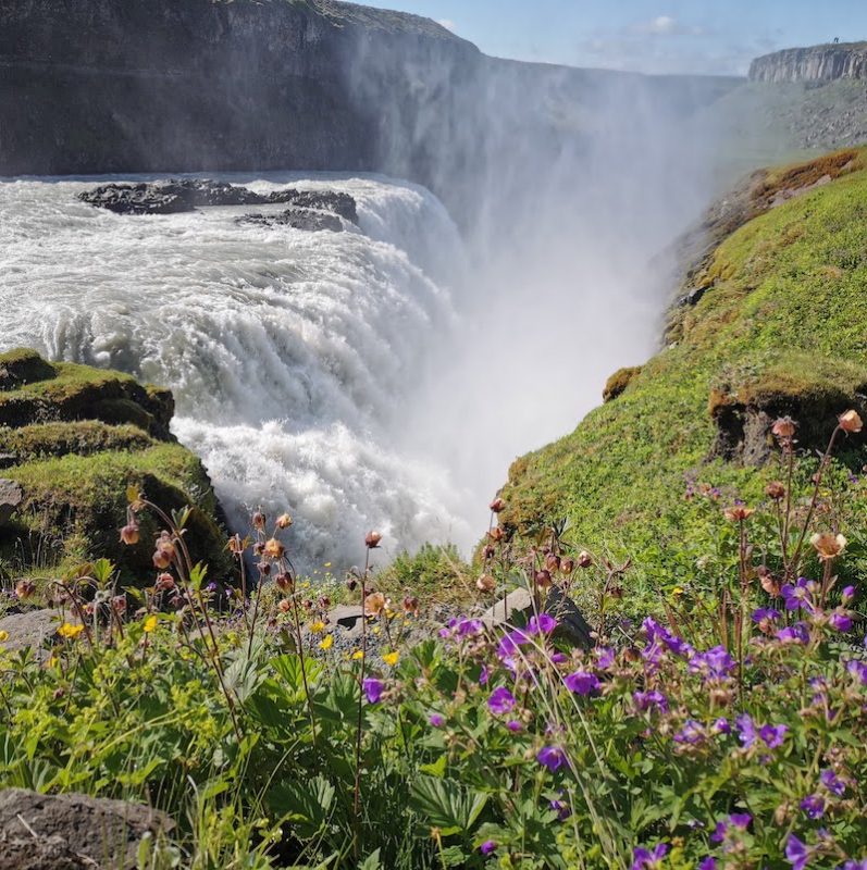 Icelandic Knitter – Hélène Magnússon