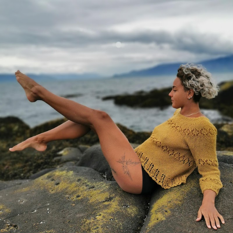 Etna vigtig underjordisk Sex sweater – Icelandic Knitter – Hélène Magnússon