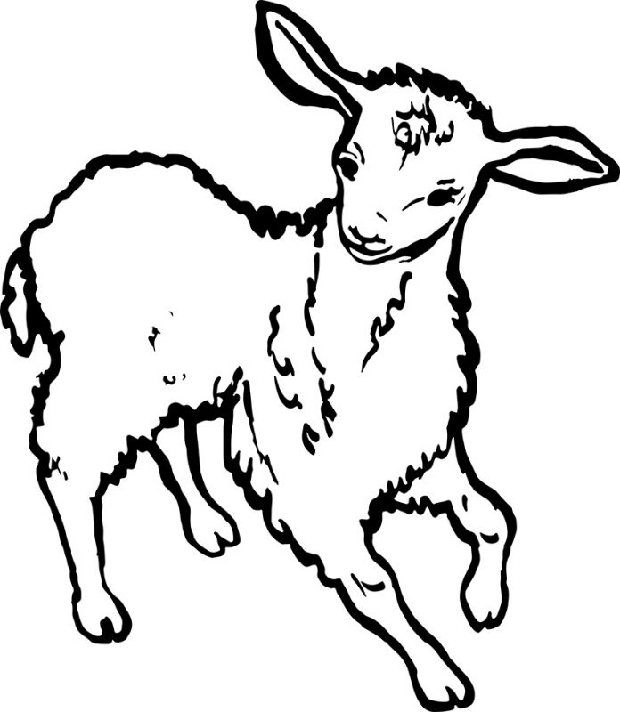Icelandic Knitter – Hélène Magnússon