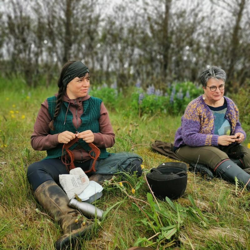 Icelandic Knitter – Hélène Magnússon