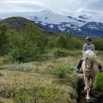 Alternative view of Knit & Ride an Icelandic horse, August 21-28, 2026