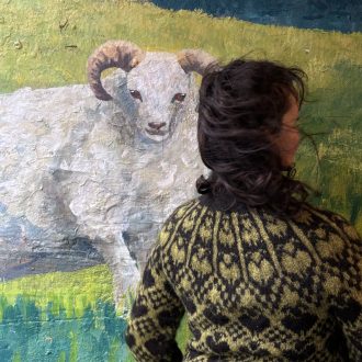 Alternative view of Icelandic Ovis