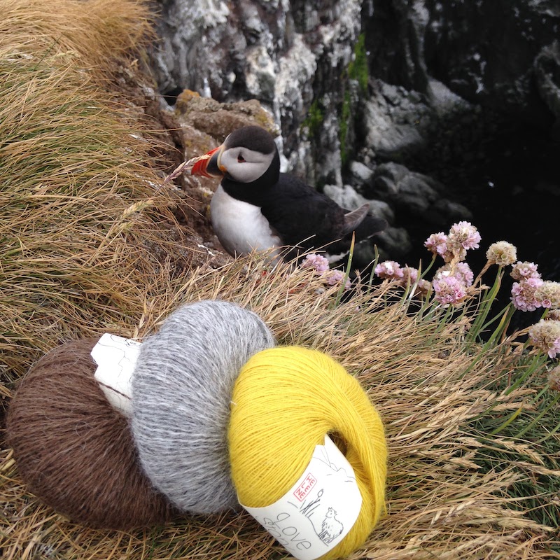 Sue Reunion tour - Image 2